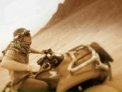 Фотография Яшагина Дениса