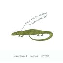 Фотография Шатохиной Анны