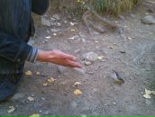 Дмитрий Неруш фотография #20 (источник - https://vk.com/id1175015)