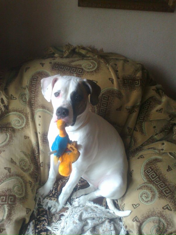 Виктор Лещенко фотография #22