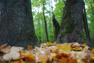 Дмитрий Постников фотография #16 (источник - https://vk.com/id3496846)