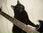 Фотография Гнусаревой Александры