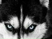 Слава Кміть фотография #3 (источник - https://vk.com/id18598883)