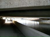 Жаннин Вильхайн фотография #37 (источник - https://vk.com/id1082585)