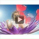 Наталія Кулик фотография #33 (источник - https://vk.com/id96930718)