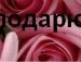 Ірина Ханас фотография #23 (источник - https://vk.com/id133901615)