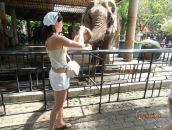 Фотография Девицкой Анны