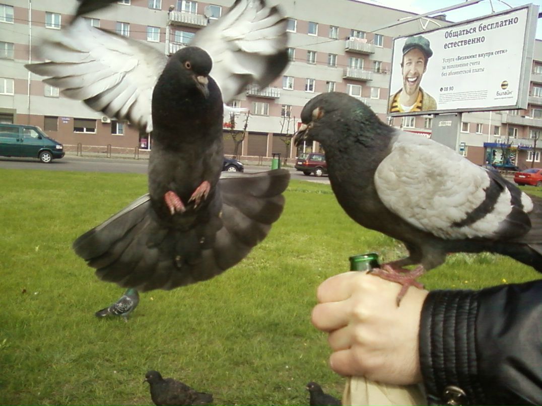 Константин Викторович фотография #32