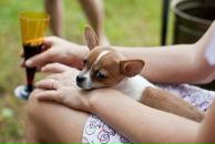 Фотография Сахаровой Росины