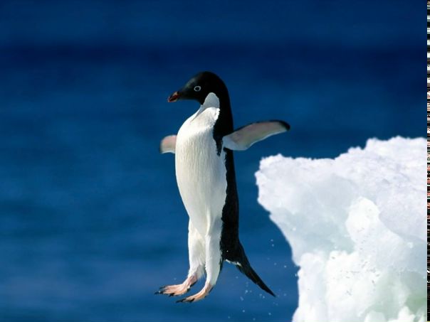 Катя Ноженко фото №11