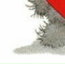 Анастасія Гудзак фотография #37 (источник - https://vk.com/id98965948)