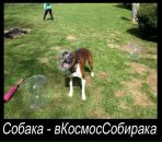 Руслан Мальцев фотография #14 (источник - https://vk.com/id643533)