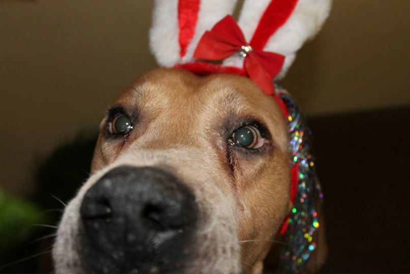 Дарья Базанова фотография #29