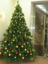 Фотография Сабировой Ирины