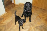 Фотография Котовой Натальи