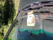 Игорь Дмитриев фотография #23 (источник - https://vk.com/id2869514)