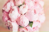 Фотография Мирзаулуковой Расимы