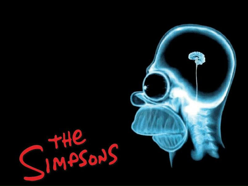 Defect Brain фотография #18