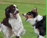 Інна Фадєєва фотография #7 (источник - https://vk.com/id106105434)