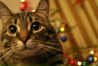 Фотография Руденко Артёма