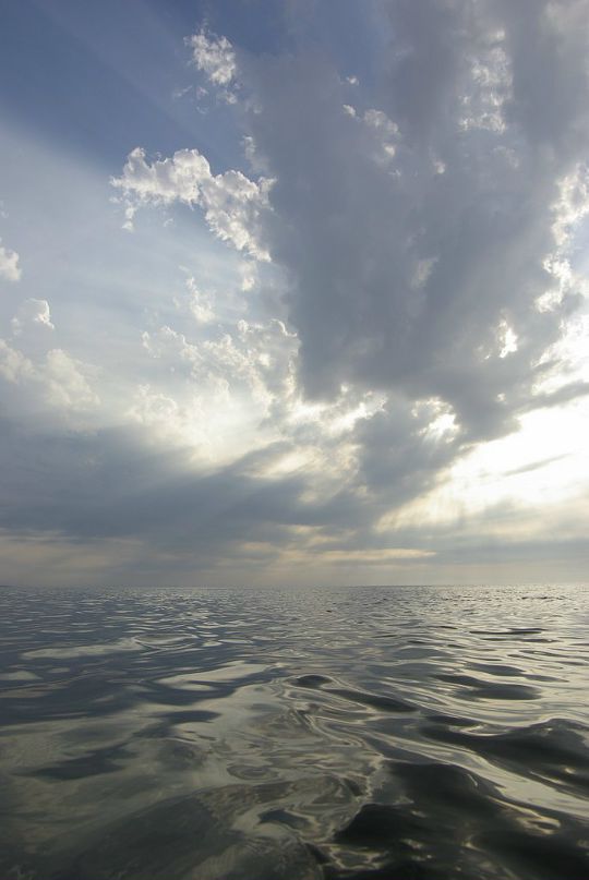 Сергей Спицын фотография #45