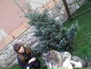 Ніколетта Глива фотография #9 (источник - https://vk.com/id56479398)