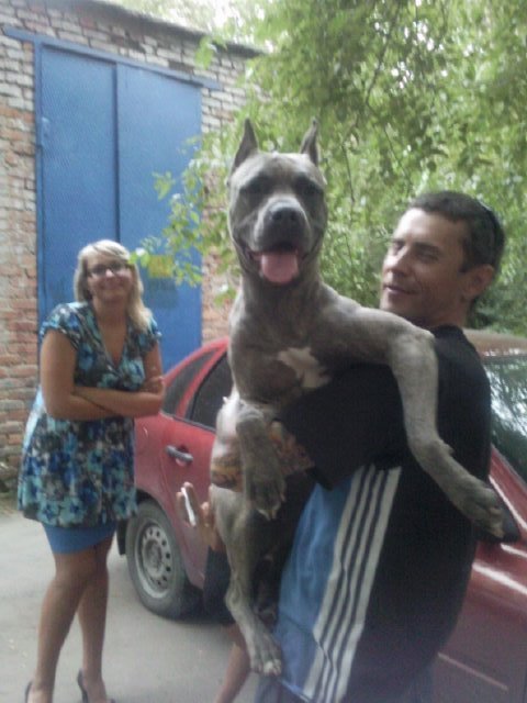 Andrei Kat фотография #38