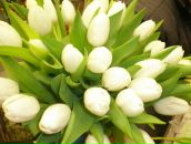 Фотография Климовой Юлианы