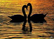 Фотография Курдулько Игоря