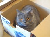 Фотография Саркисян Марины