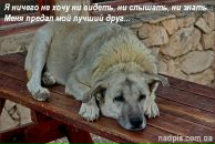 Фотография Кареловой Даши