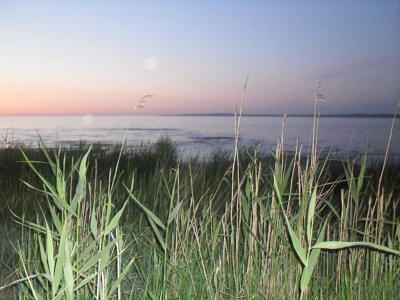 Ler Ka фотография #7