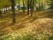 Ольга Маршавина фотография #12 (источник - https://vk.com/id78827093)