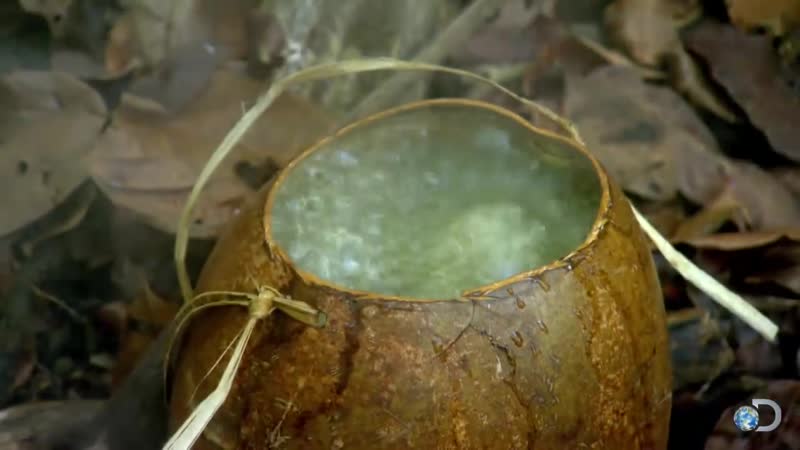 КИПЯЧЕНИЕ ВОДЫ КАМНЯМИ. DIY Survival Brewing Tea in the Jungle  Dual Survival