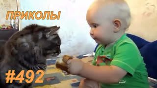 Приколы август 2019 №492