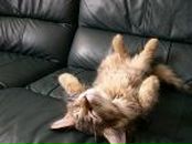 Фотография Тимохина Сергея