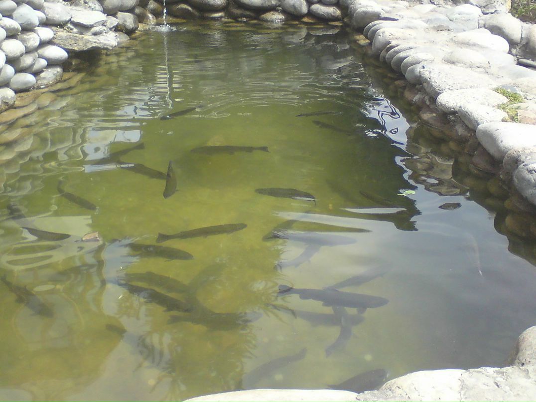 Пётр Леончук фотография #36