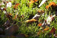 Роман Нутерман фотография #27 (источник - https://vk.com/id766871)