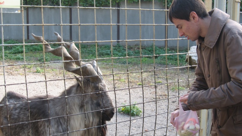 Сергей Мищенко фотография #10