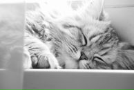 Сергій Музичук фотография #16 (источник - https://vk.com/id15525358)