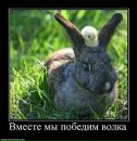 Просто Рамиска=) фотография #27 (источник - https://vk.com/id155554219)