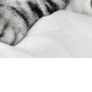 Зорянка Касіянчук фотография #11 (источник - https://vk.com/id18925498)