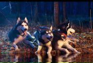 Фотография Васильевой Татьяны