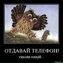 Фотография Бобровской Леси