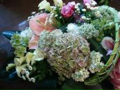 Леся Силенко фотография #11 (источник - https://vk.com/id3301581)