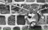 Фотография Алеевой Евгении