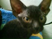 Фотография Павловой Ленчик