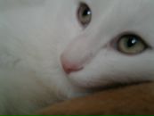 Фотография Окатьева Алексея