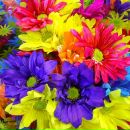 Надія Вітер фотография #10 (источник - https://vk.com/id43182189)