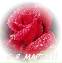 Рустам Руфуллаев фотография #48 (источник - https://vk.com/id37852489)